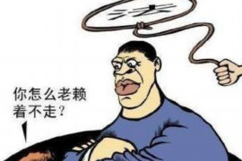 阳春专业讨债公司有哪些核心服务？